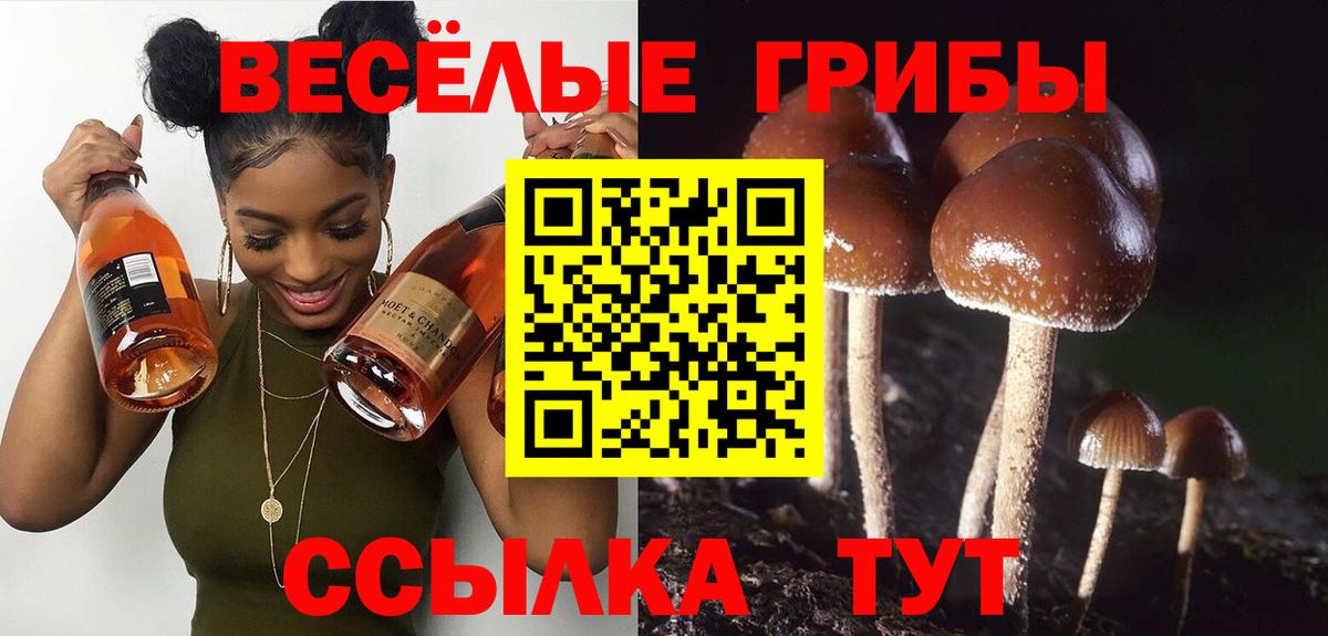Галлюциногенные грибы Cubensis  Вход с VPN  Гусев 