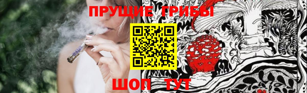 Псилоцибиновые грибы прущие грибы Гусев